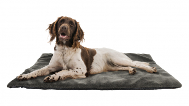 AKAH Hunde-Thermobett - 100x120cm